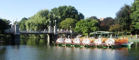 Swan Boats by the bridge over the lagoon